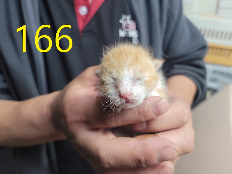 신영재동물병원_428355202500239